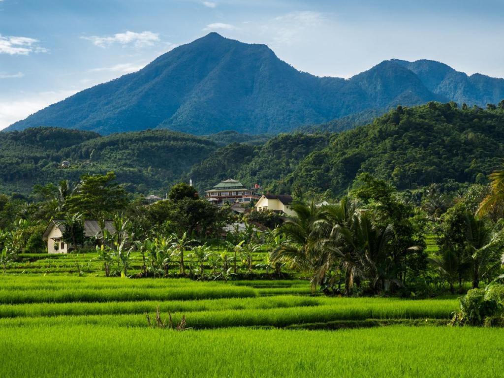 Bianco Costel Hotell Bogor Exteriör bild
