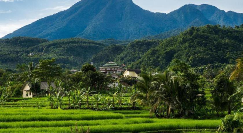 Bianco Costel Hotell Bogor Exteriör bild